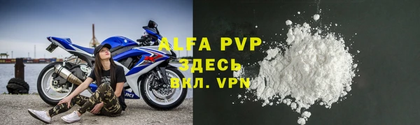 ПСИЛОЦИБИНОВЫЕ ГРИБЫ Няндома