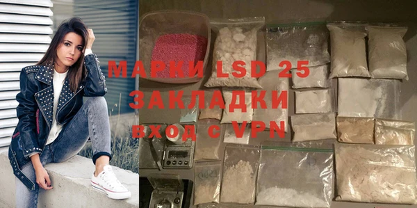 ПСИЛОЦИБИНОВЫЕ ГРИБЫ Няндома