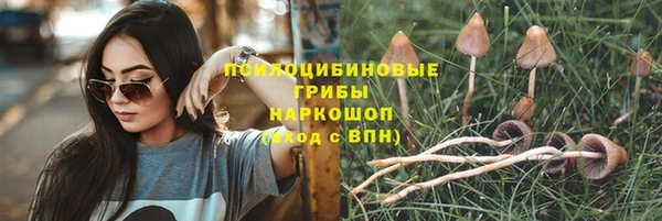 дурь Абаза