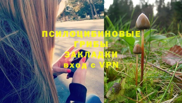 дурь Абаза