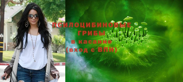 ПСИЛОЦИБИНОВЫЕ ГРИБЫ Няндома