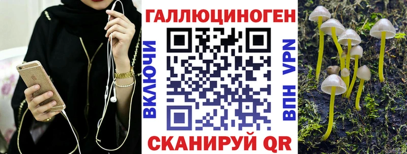 купить Нерчинск Псилоцибиновые грибы Psilocybe